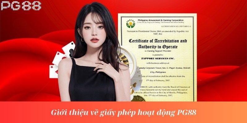 Giới thiệu về giấy phép hoạt động PG88
